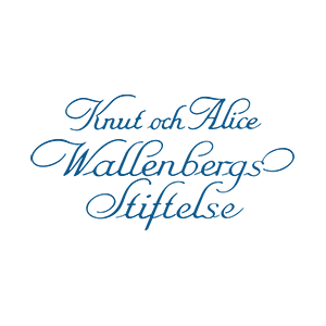 SciLifeLab & Wallenberg National Program for Data-Driven Life Science logo